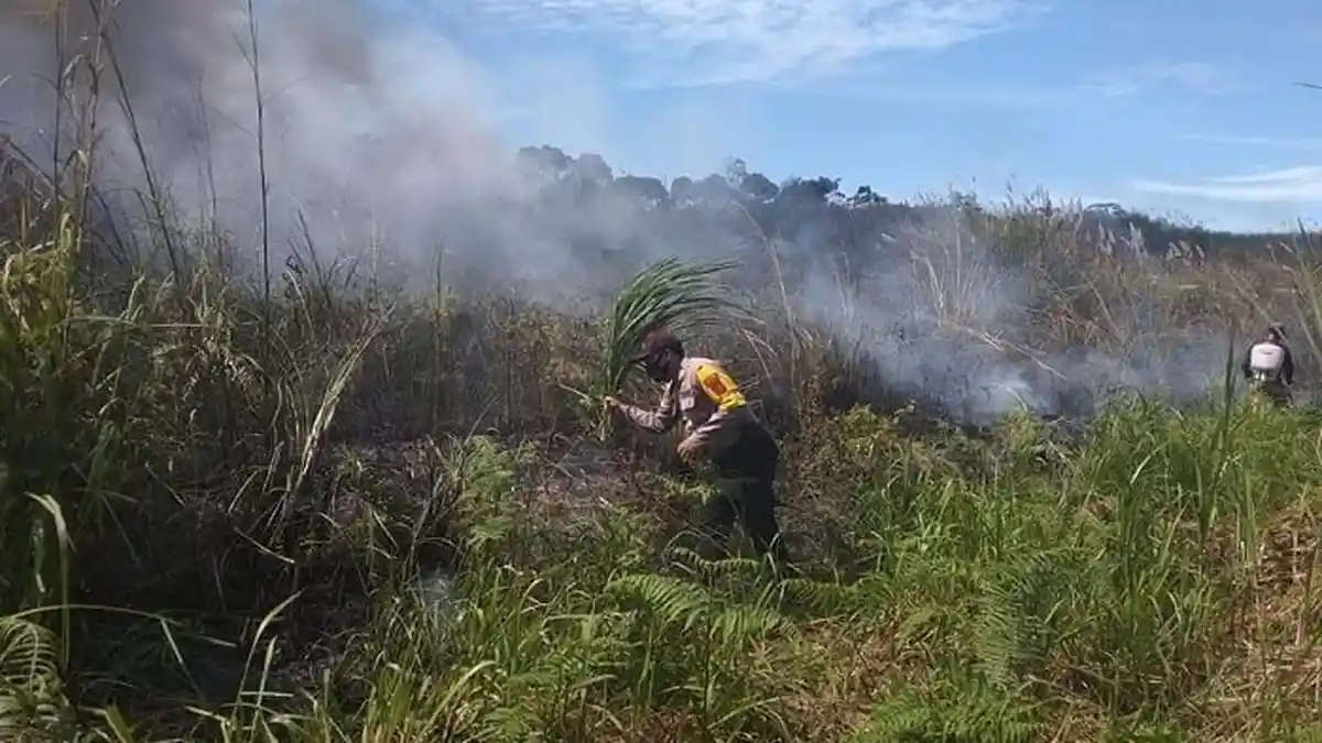 Dua Hektar Lahan Kebun di Bener Meriah Terbakar, Masyarakat Sempat Dibuat Panik