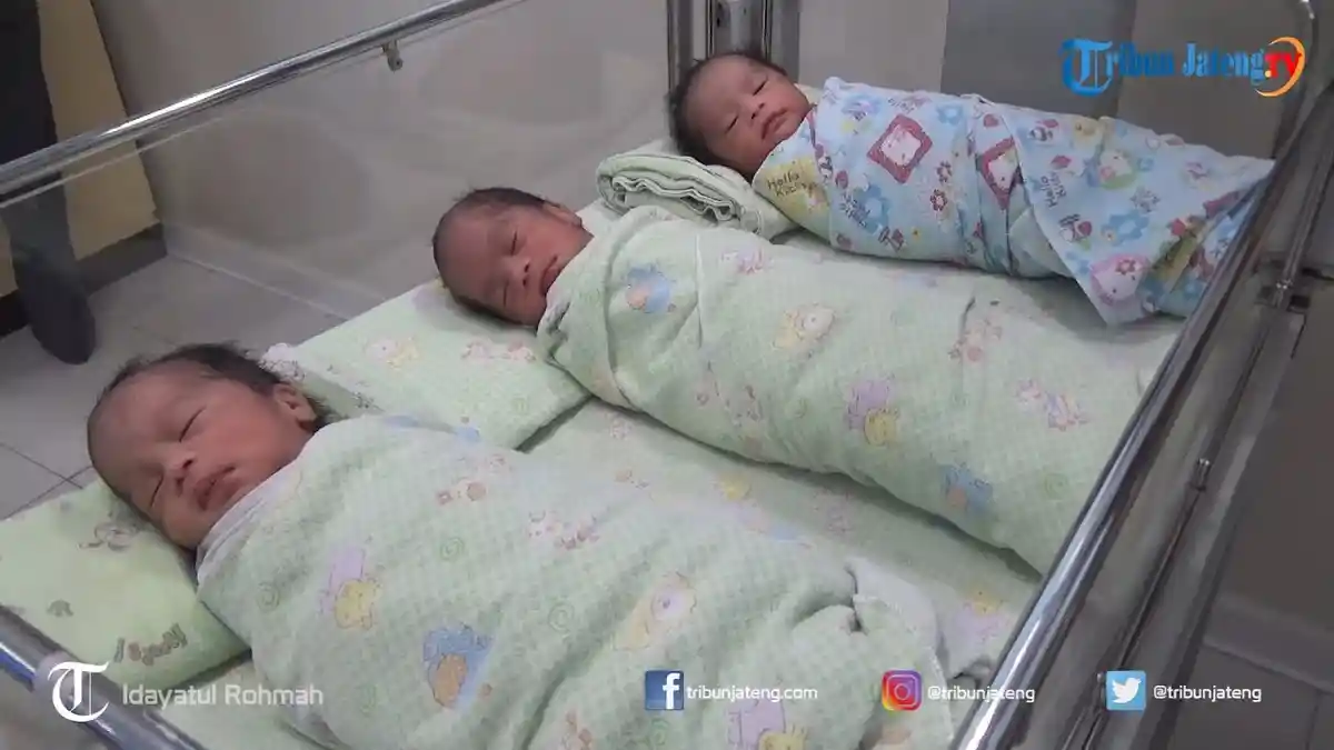 Kosong Beberapa Bulan, Meidina Hamil Bayi Kembar 3 Setelah Diberi Obat Penyubur