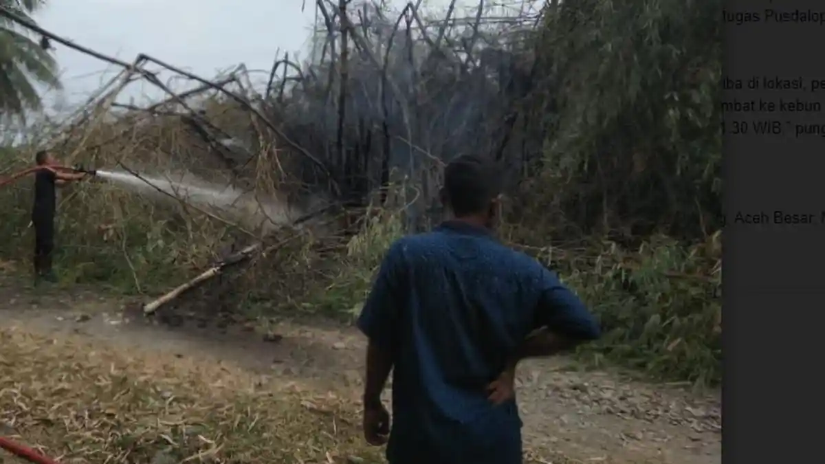 Kebakaran Lahan Masih Terjadi, Satu Rumpun Bambu di Mon Mata Lhoong Terbakar