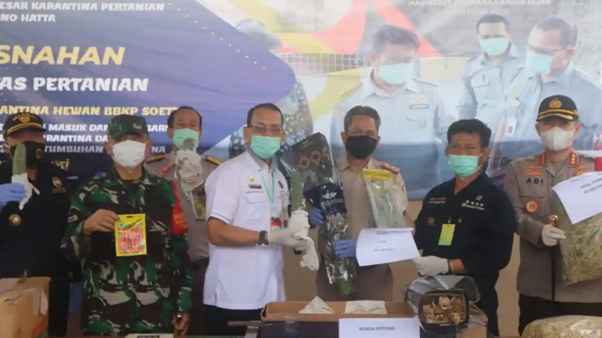 Cegah Bioterorisme, Ribuan Komoditas Pertanian Dari Luar Negeri Dibakar di Bandara Soekarno-Hatta