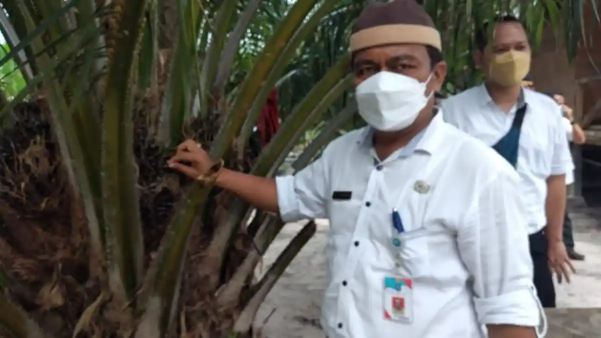 UPDATE Covid-19 di Kabupaten Bangka, Hari Ini Tambah 22 Pasien  