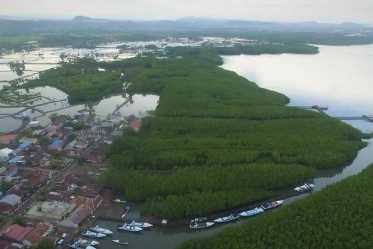 Realisasi belanja APBD 2025 Kabupaten Sinjai Baru 66 persen jelang akhir tahun