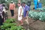 Dari Kebun Sayur, Dirut LPDB-UMKM Terobos Dapur Sampai Kandang Ternak Anggota Obor Mas di Wuliwutik