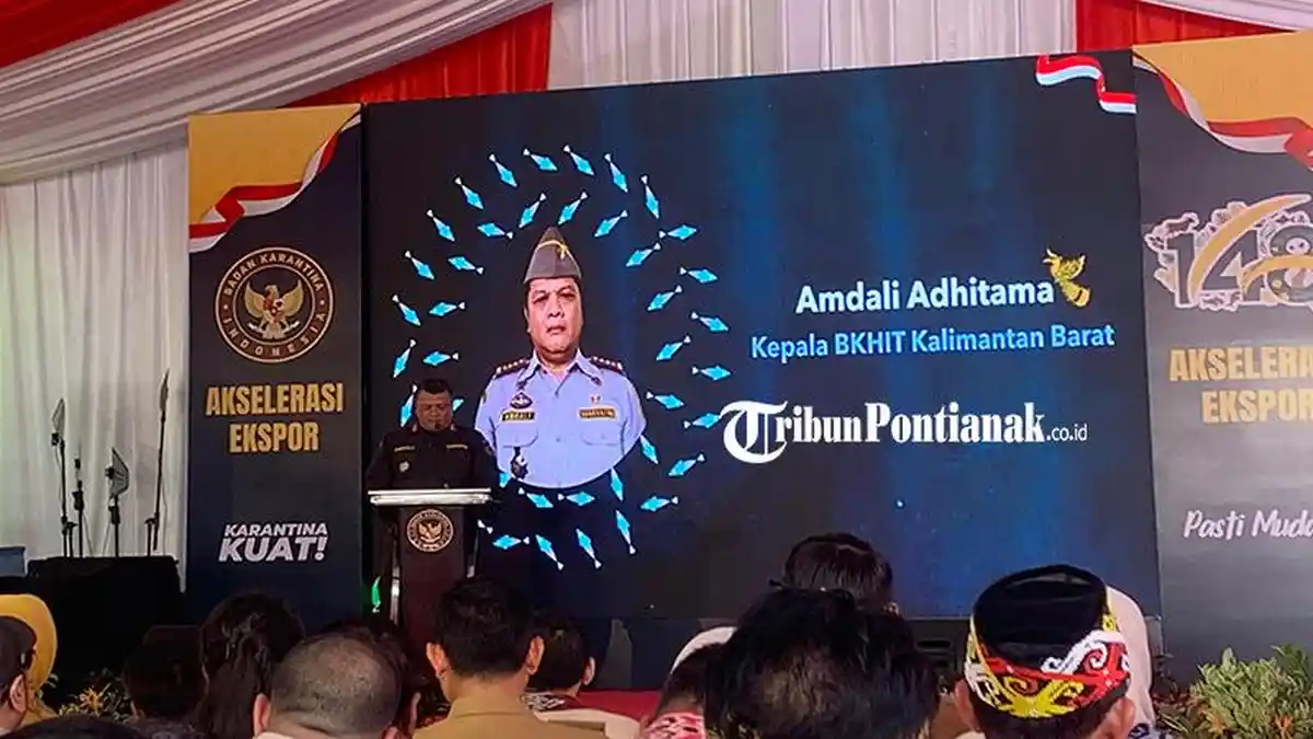 Akselerasi Ekspor Kratom, BKHIT Kalbar Catat 343,5 Ton Capai Rp 15 Miliar
