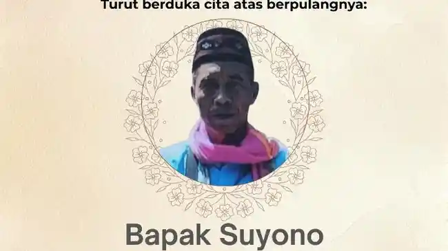 Tribun