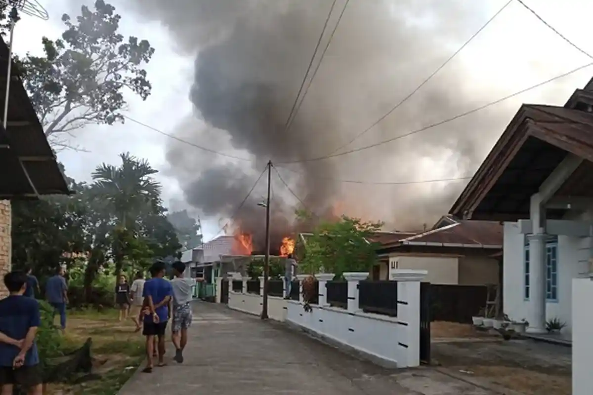 Populer Padang: Kelangkaan Minyak Goreng, Evakuasi Ular, dan Waspada Kebakaran Lahan