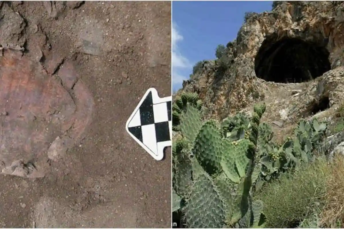 Makam Dukun Israel Berusia 12000 Tahun, Ungkap Rumitnya Prosesi Pemakaman, Sampai Makan Kura-Kura