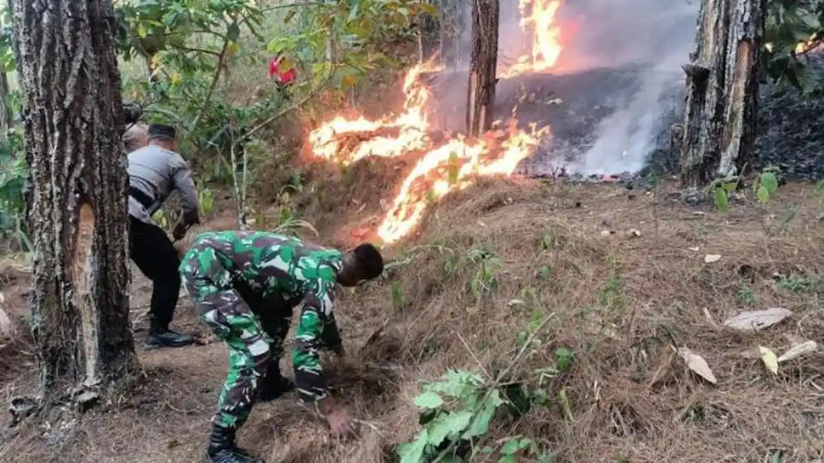 36 Kebakaran Hutan dan Lahan Terjadi di Trenggalek Selama Musim Kemarau