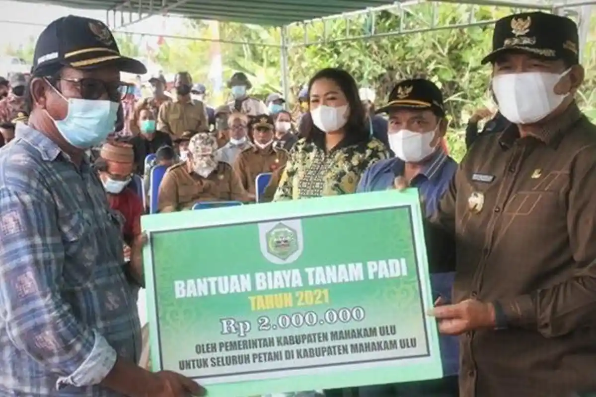 Anggaran Program BBT 2023 Capai Rp 8,349 M, Pemkab Mahulu Serahkan Bantuan kepada 4 Ribu Petani