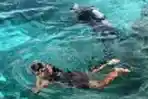 Wisata Pantai Padaido BIAK 