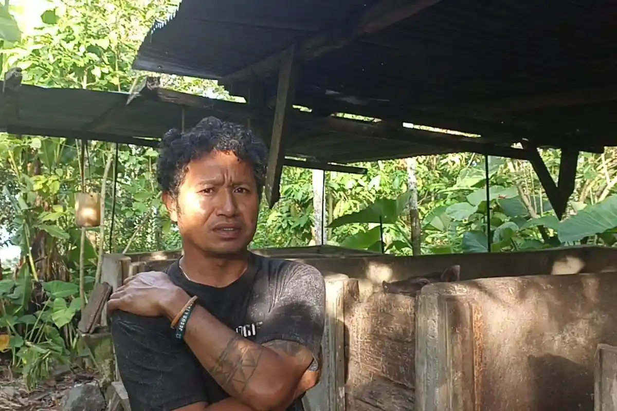 Puluhan Ekor Babi di Ngada NTT Terjangkit Virus