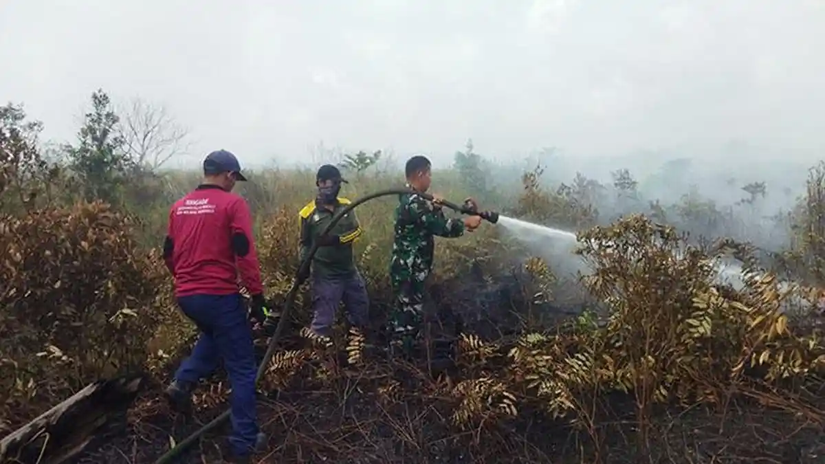 Karhutla di Desa Pasir, Prajurit Kodim 1201/Mph Turut Berjibaku Padamkan Api