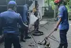 ular-masuk-rumah-warga-kotim-19-mei-2026-okk.jpg