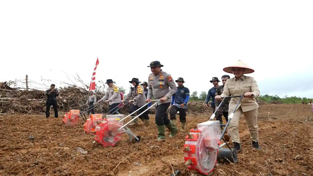 Bupati Karolin Dampingi Kapolda Kalbar Tanam Jagung di Kecamatan Jelimpo