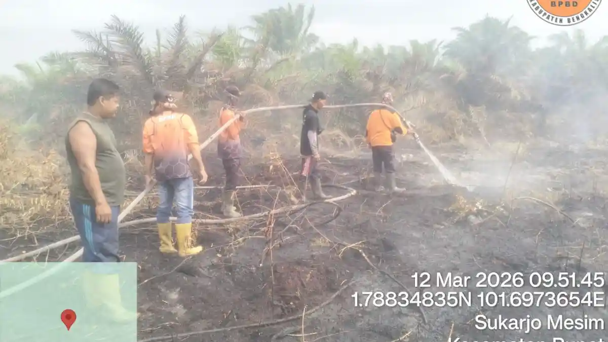 Ada Titik Karhutla Baru di Bengkalis, Muncul di Rupat, Talang Muandau dan Pinggir