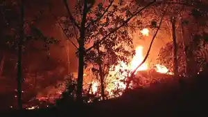 Kebakaran-batuaji5.jpg