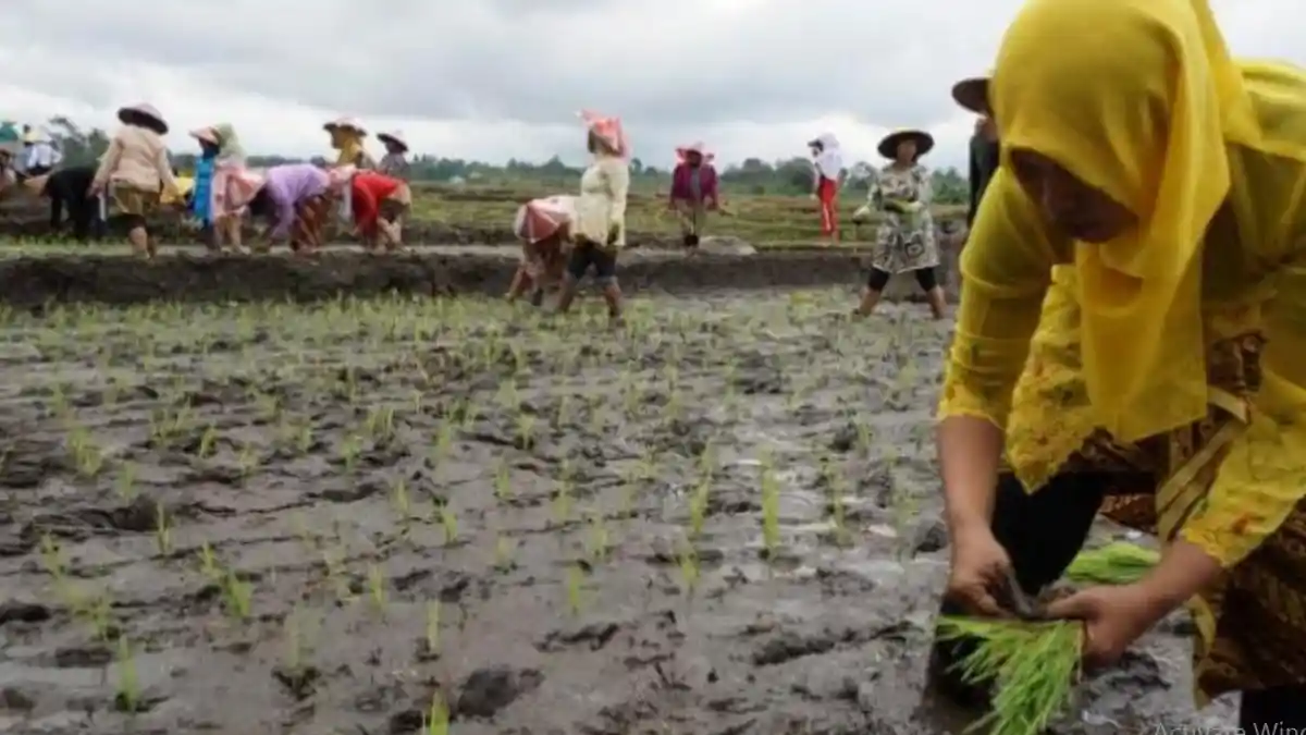 Hari Pangan Sedunia Diperingati di Tengah Pandemi, Angkat Tema 'Grow, Nourish, Sustan, Together'