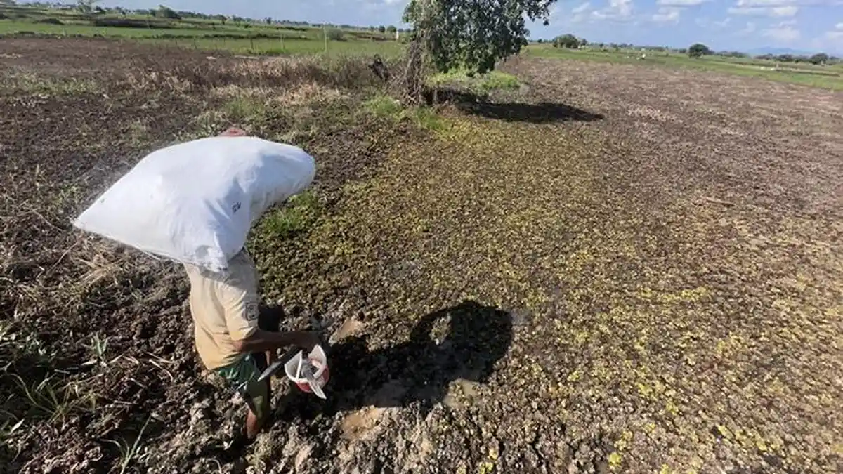 Prakiraan Cuaca Kalsel Selasa 7 Juli 2026, Awas Panas Ekstrem di Banjarmasin, Martapura Hingga HST - Banjarmasinpost.co.id