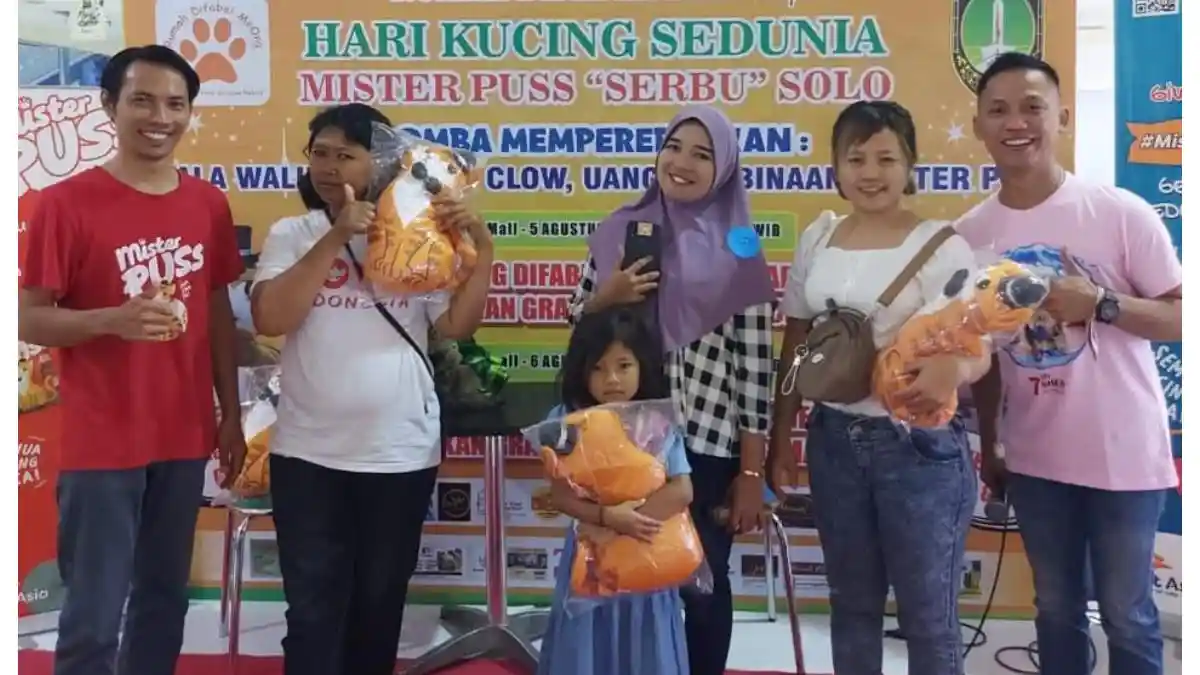 Adopsi Kucing Liar Bisa Jadi Cara Rayakan Hari Kucing Internasional