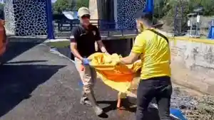 Polresta-Bandar-Lampung-mengevakuasi-jenazah-bayi-di-bendungan-natar.jpg