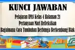 Kunci-Jawaban-IPAS-Kelas-4-Halaman-21-Bagaimana-Cara-Tumbuhan-Berbunga-Berkembang-Biak.jpg