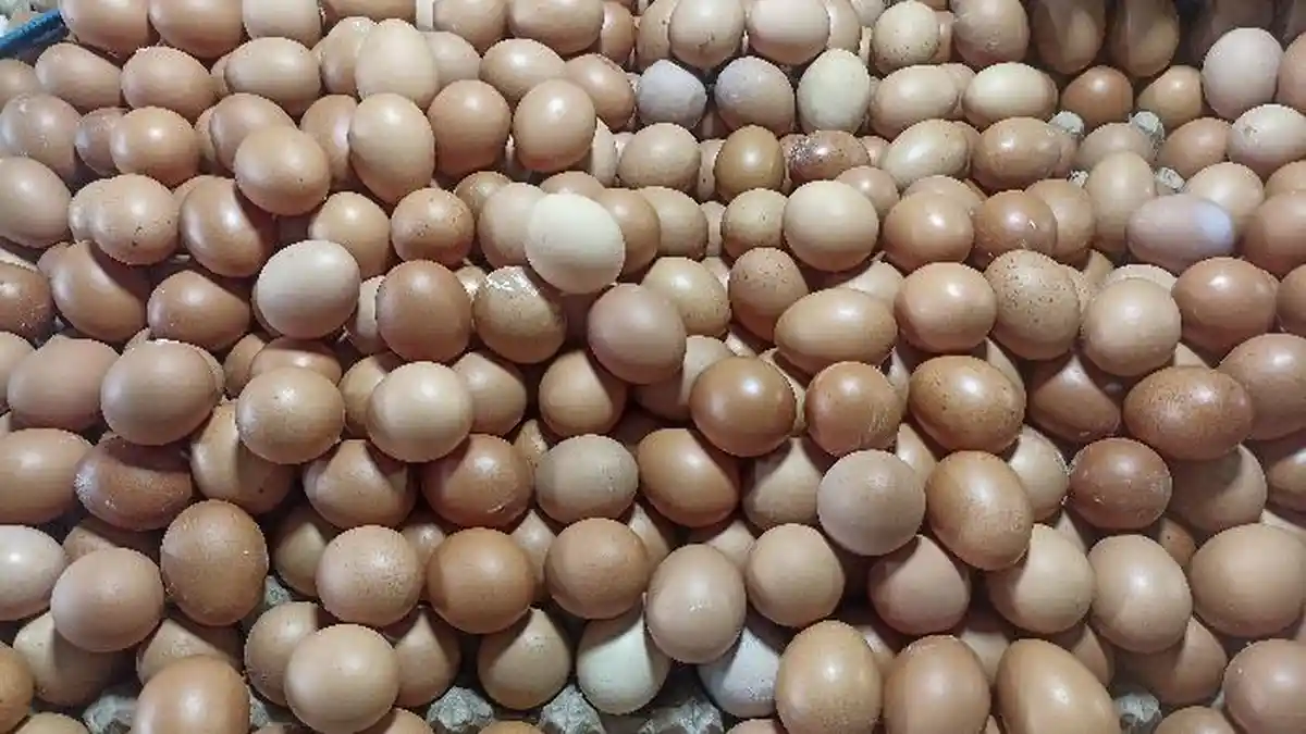 2 Hari Jelang Lebaran, Harga Telur di Pasar Raya Padang Sumbar Tetap Stabil