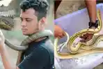 panji-petualang-buktikan-ular-takut-garam-cuma-mitos-lewat-ular-sanca-ini-bagi-tips-mengusir-ular.jpg