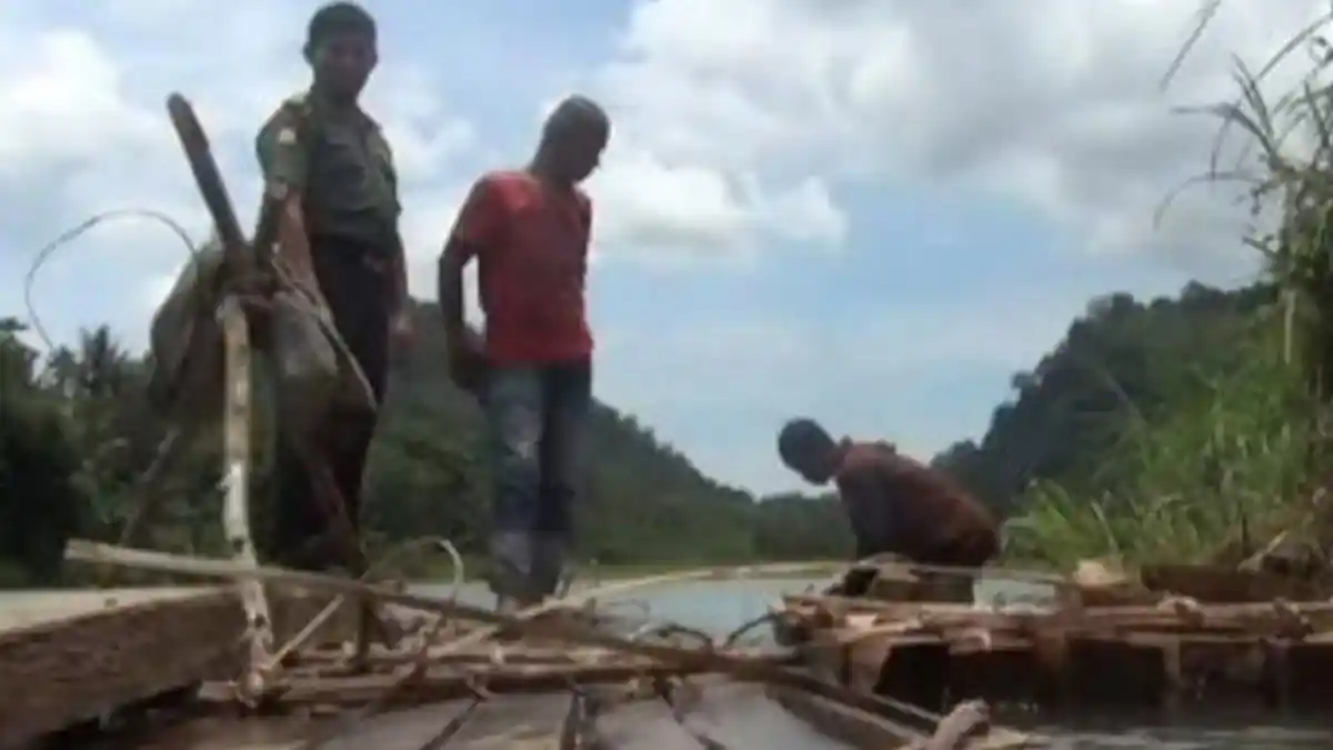 20 Hektar Hutan di Rohul Dibabat, Korem 031 Wirabima Tingkatkan Pengawasan
