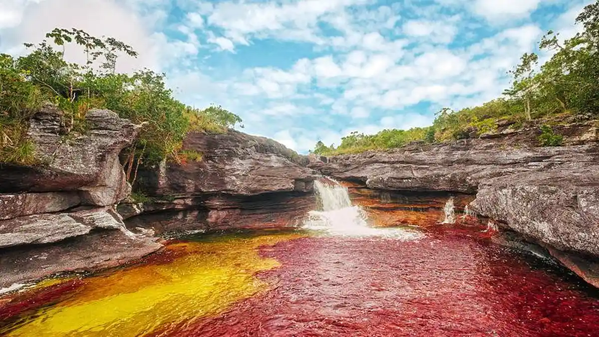 Cano Cristales River, Sungai Terindah di Dunia yang Punya Lima Warna
