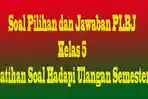 soal-plbj-kelas-5-dcfvgb.jpg