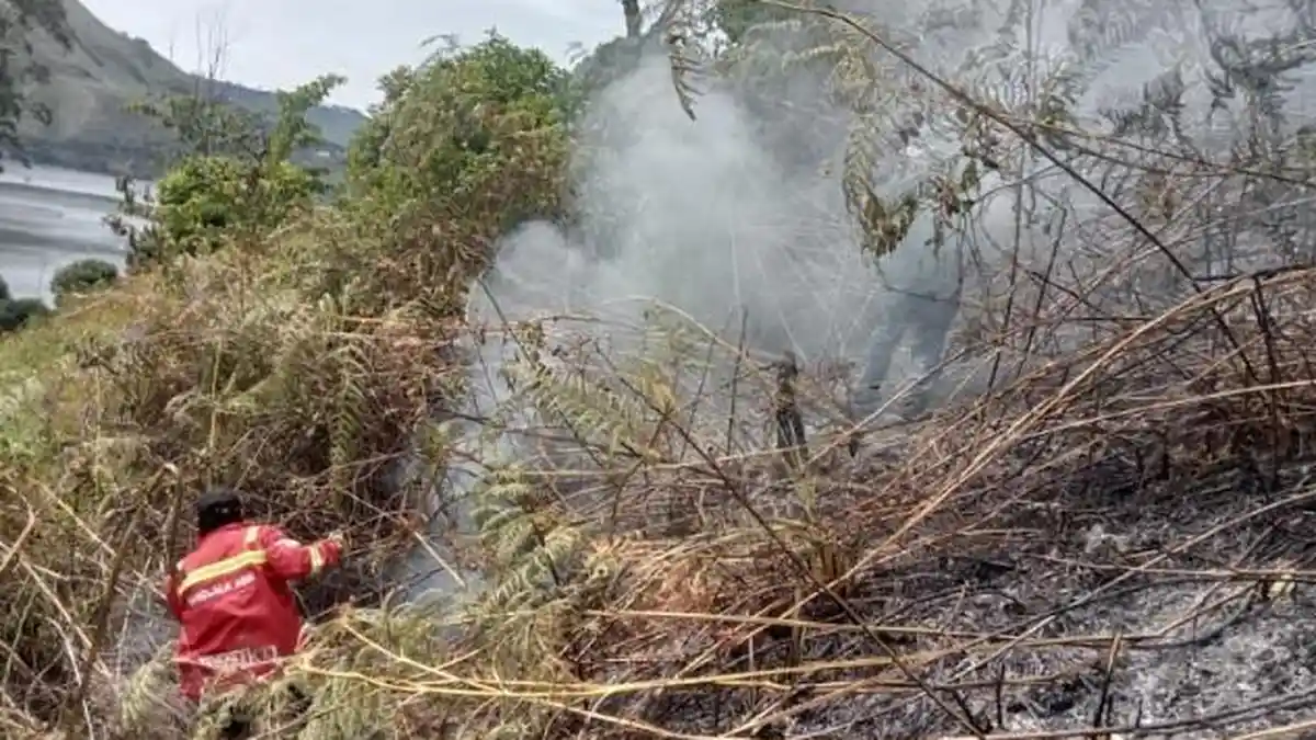5 Hektar Perbukitan di Tongging Terbakar, Diduga Sengaja Dibakar untuk Buka Lahan