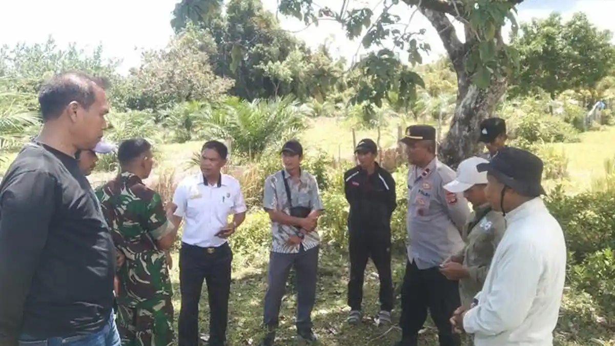 Awas! Harimau Terlihat di Kuala Baru Aceh Singkil, Ini Tips Jika Kepergok 