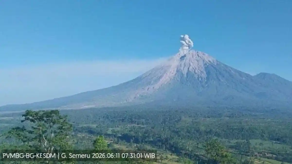 Aktivitas Gunung Semeru Meningkat, Tercatat 18 Letusan dalam Setengah Hari