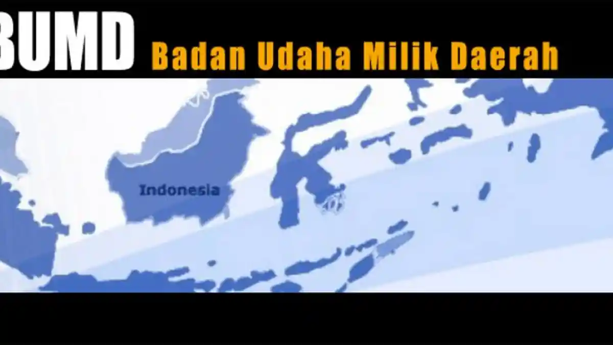 Komisi C DPRD Riau: Jangan Tampung Tim Sukses di BUMD