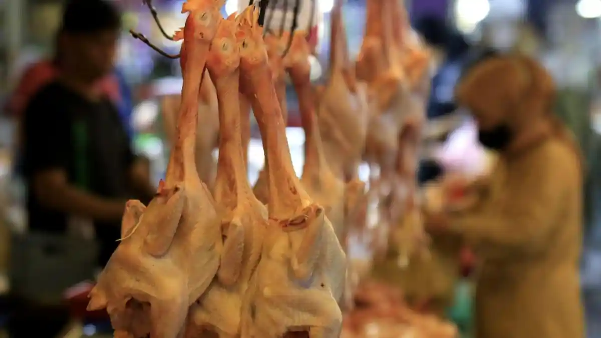 Harga Daging Ayam di Pasar Kosambi Bandung Naik
