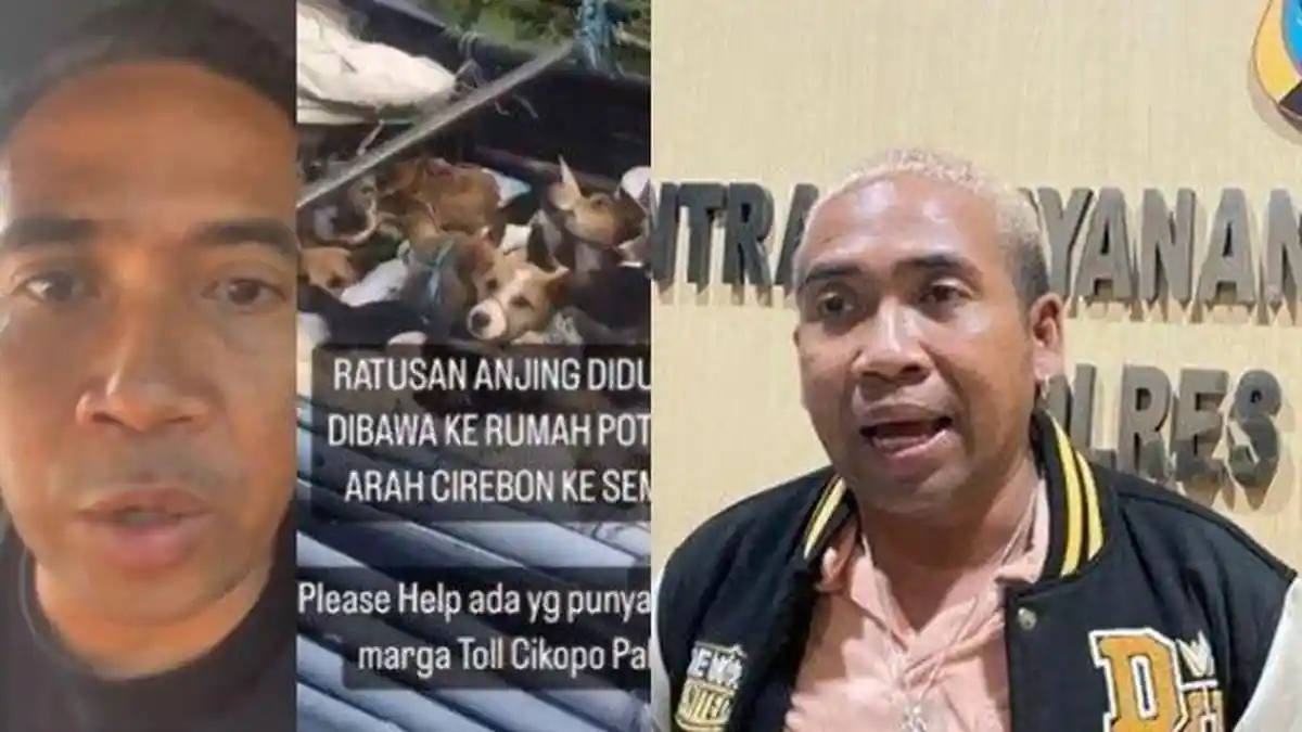 Sosok Christian Joshua Pale Aktivis Binatang Bongkar Truk Pembawa ...
