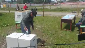 Pilkada-Papua-Pegunungan.jpg