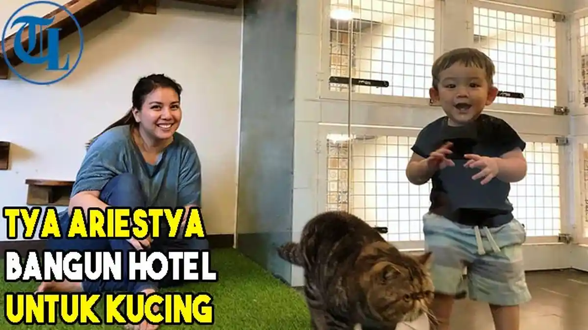 VIDEO Tya Ariestya Bangun Hotel untuk Kucing