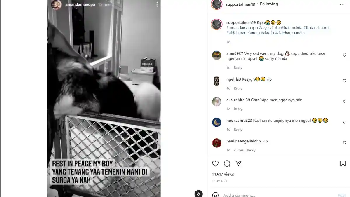 Tidak Hanya Ibunda Wafat, Amanda Manopo Pilu Beritakan Kabar Duka 'Rest in peace My Boy'