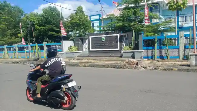 Tribun