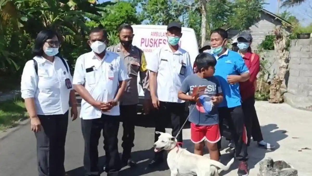 Enam Warga Banjar Sawe Digigit Anjing, Positif Rabies, Sudah Ditangani Puskesmas Jembrana