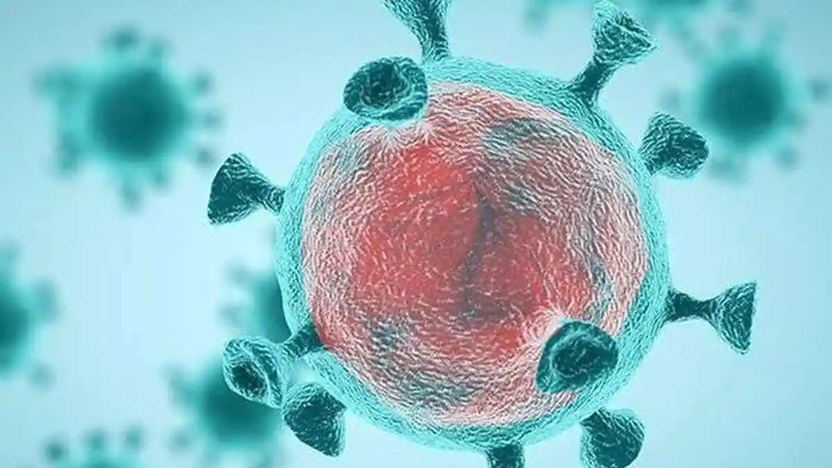 Terungkap, Virus Corona Pembawa Covid-19 Berasal Dari 3 Negara Ini, Bukan Dari Wuhan China