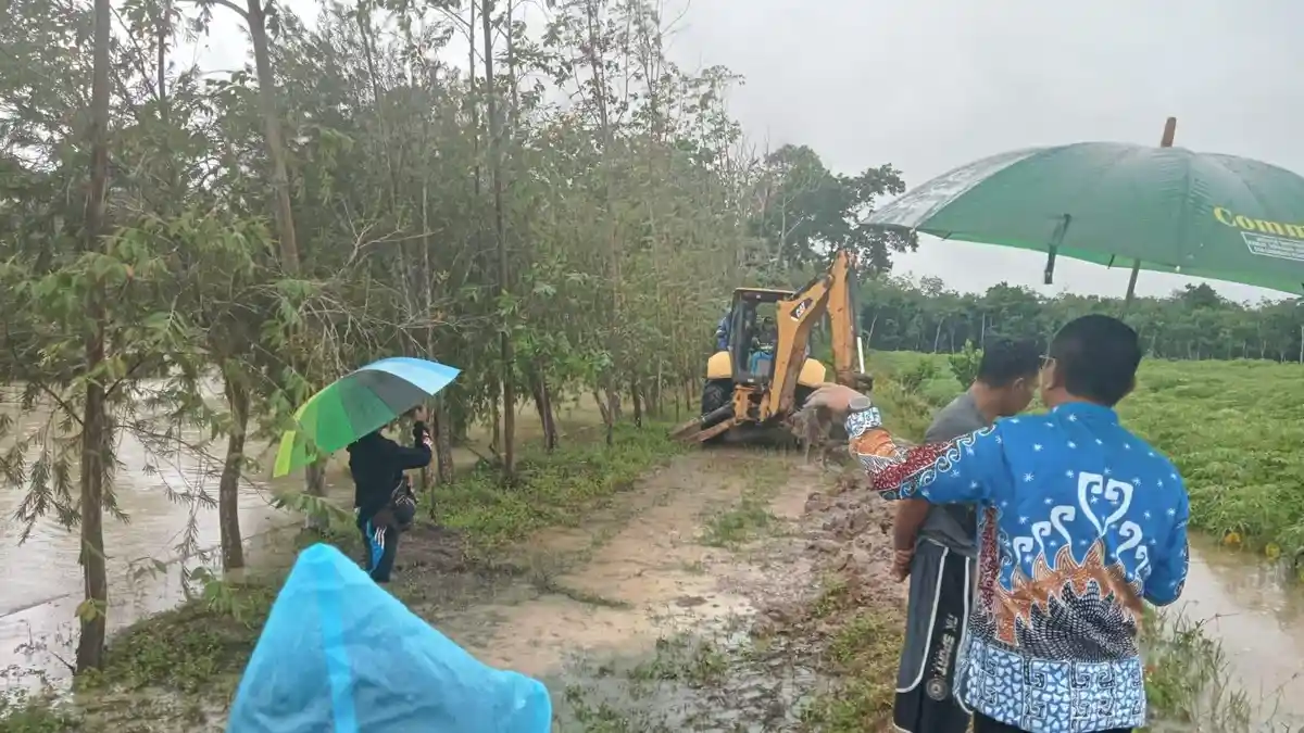 Pj Bupati Tubaba Pastikan Penanganan Cepat di Lokasi Banjir Akibat Hujan Deras - 1Pj-Bupati-Tubaba-Drs-M-Firsada-memastikan.jpg