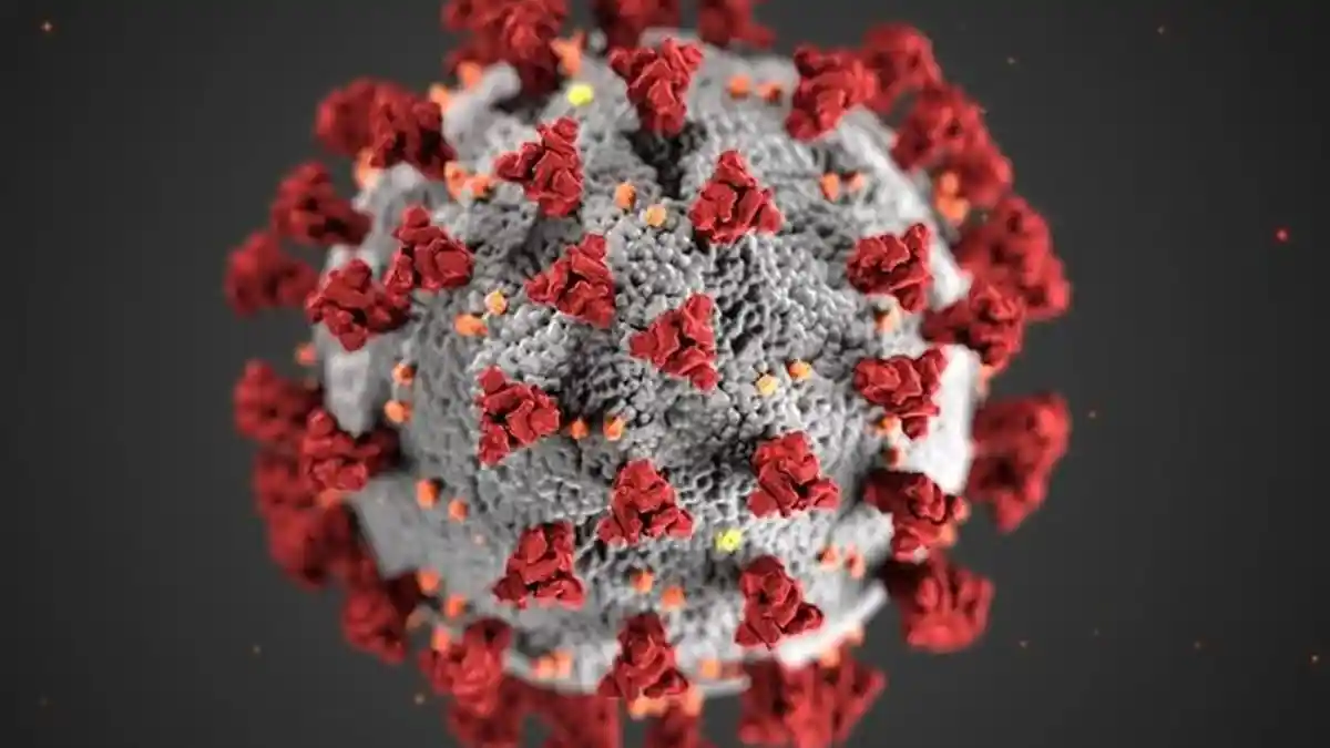 WHO : Virus Corona Tak Akan Hilang, “Berdamailah Dengannya”