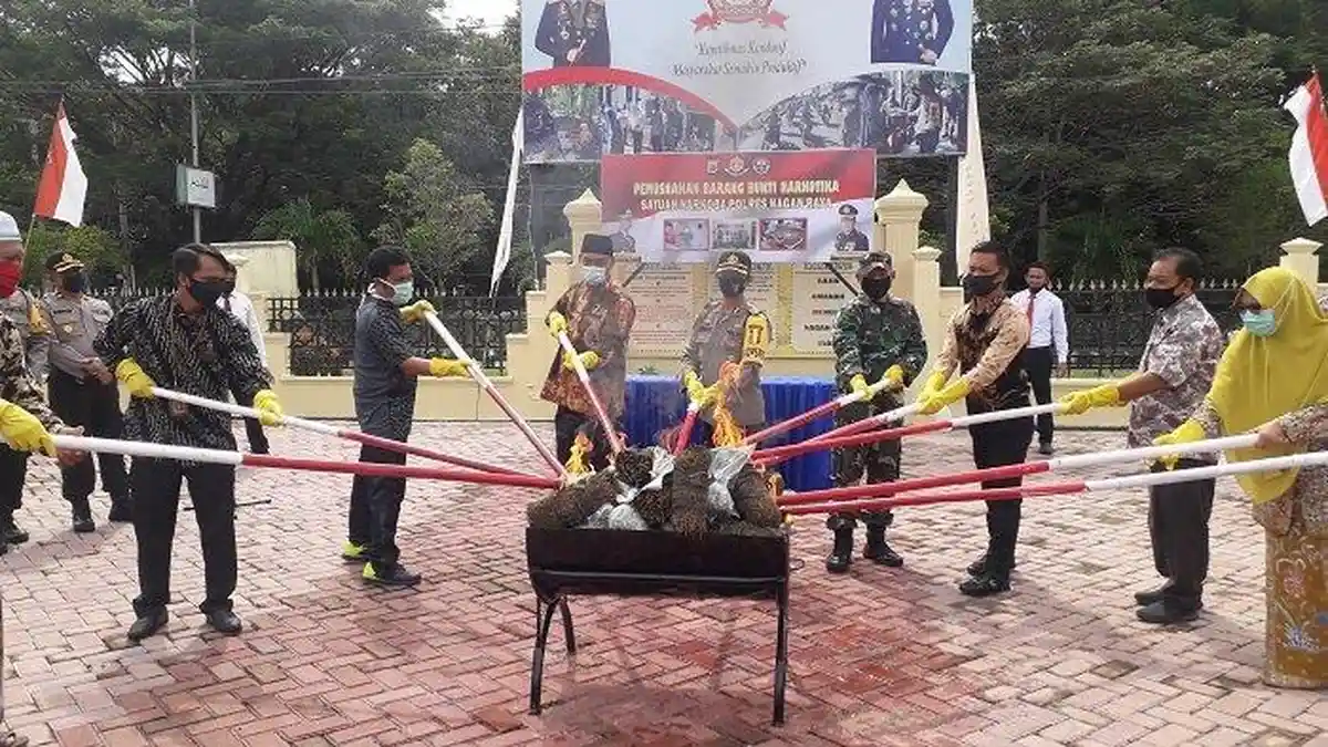 Ganja 26,8 Kilogram di Nagan Raya Dimusnahkan, Pemiliknya Masih Kabur