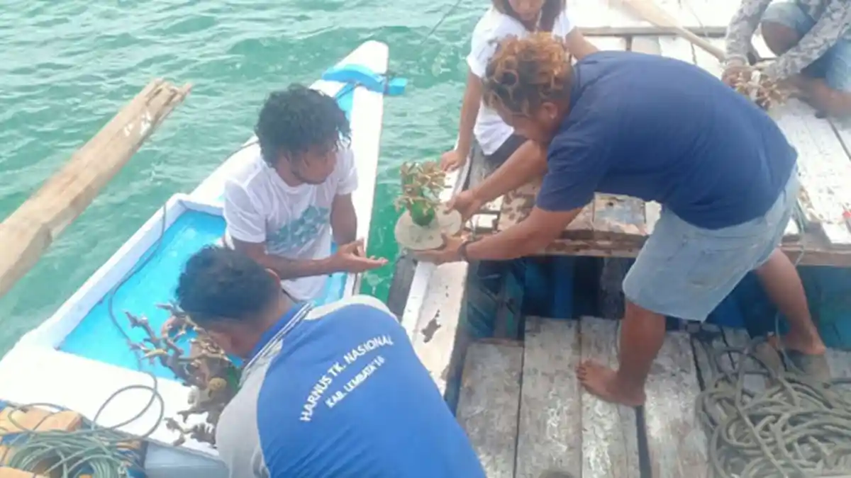 Gugusan Terumbu Karang Seputaran Pulau Awololong Hancur