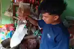 Harga-sejumlah-komoditas-naik-imbas-rupiah-melemah-terhadap-dolar-AS.jpg