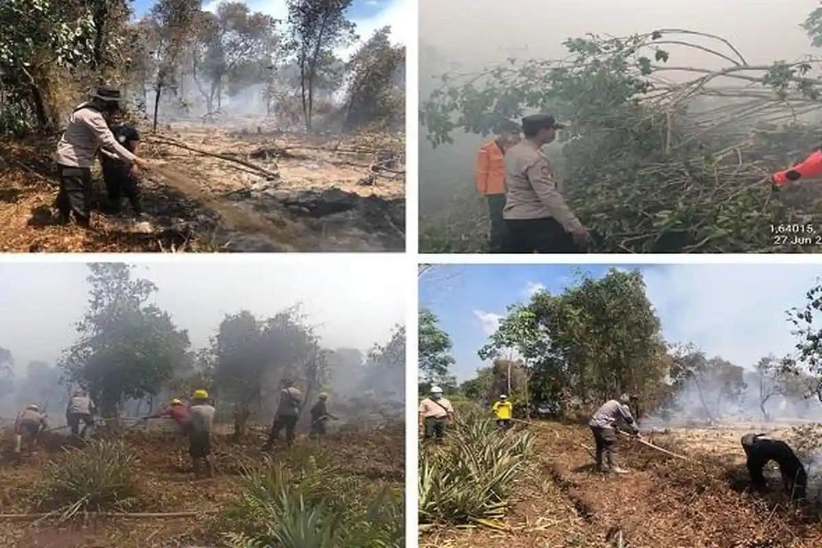 15 Hektar Lahan di Desa Mentibar Sambas Terbakar