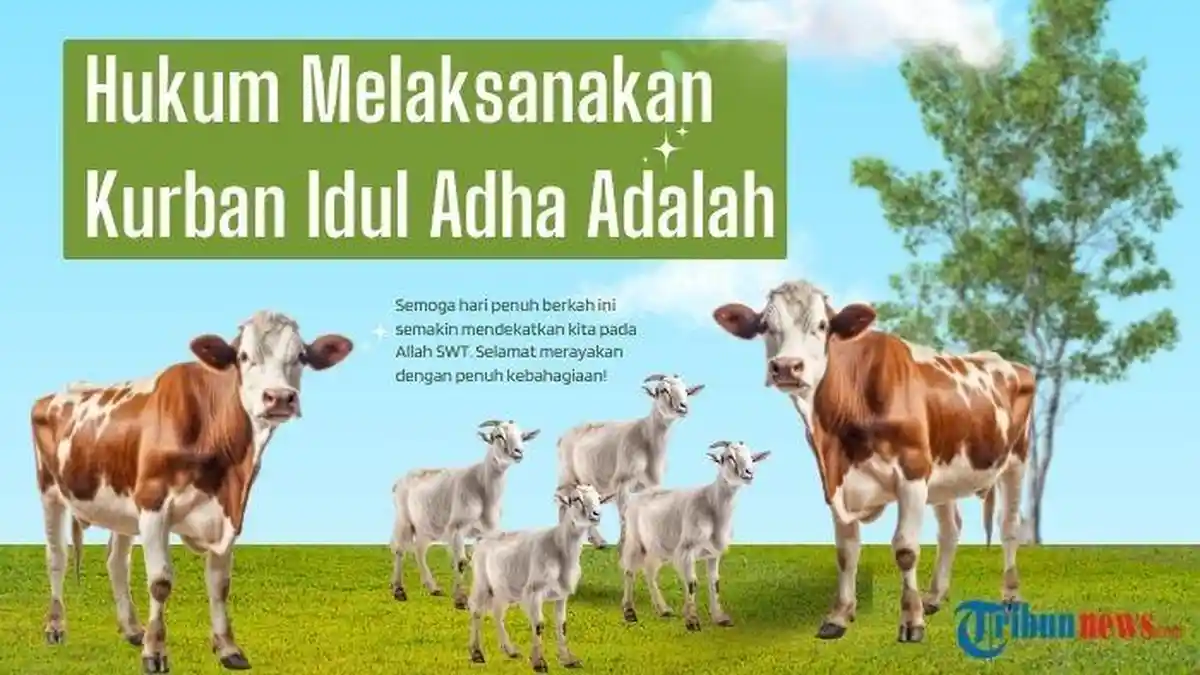 Hukum Melaksanakan Kurban Idul Adha Adalah? Ini Dasar Hukumnya