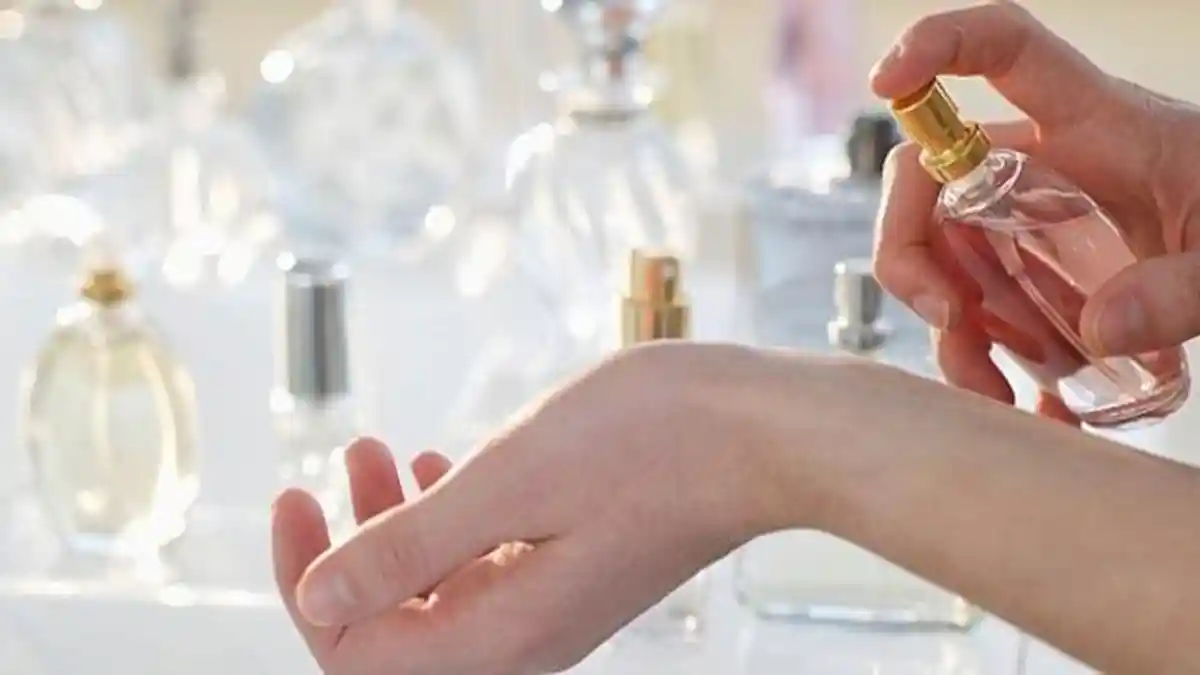 Pilih Aroma Peppermint Saat Berkendara, Bantu Pengemudi Tetap Waspada, Ini Ilmiahnya